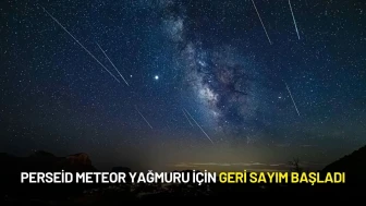 Perseid Meteor Yağmuru İçin Geri Sayım Başladı