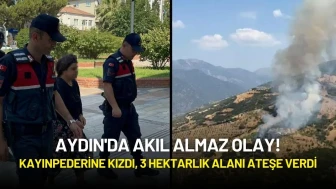 Aydın'da Akıl Almaz Olay! Kayınpederine Kızdı, 3 Hektarlık Alanı Ateşe Verdi