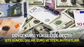 Döviz Kuru Yükselişe Geçti! İşte Güncel Dolar, Euro ve Sterlin Fiyatları