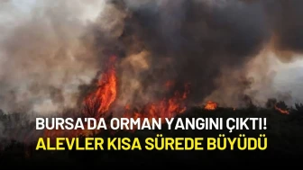 Bursa'da Orman Yangını Çıktı!