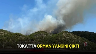 Tokat'ta Orman Yangını Çıktı, Ekipler Söndürme Çalışmalarına Devam Ediyor