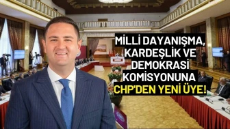 Milli Dayanışma, Kardeşlik ve Demokrasi Komisyonuna CHP'den Yeni Üye!