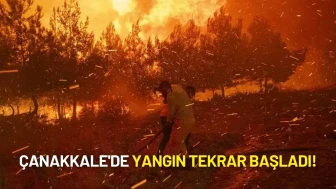 Çanakkale'de Yangın Tekrar Başladı: Alevler Hızla Köylere İlerliyor!