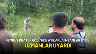 Nemrut Krater Gölü'nde Ayılarla İnsanlar İç İçe! Uzmanlar Uyardı