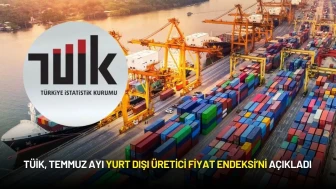 TÜİK, Temmuz Ayı Yurt Dışı Üretici Fiyat Endeksi’ni Açıkladı
