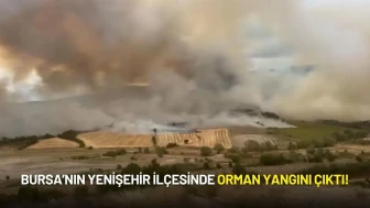 Bursa’nın Yenişehir İlçesinde Orman Yangını Çıktı!