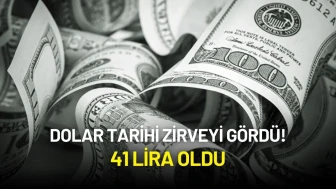 Dolar Tarihi Zİrvede! 41 Lira Oldu