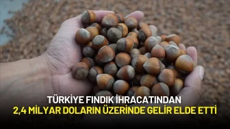 Türkiye Fındık İhracatından 2,4 Milyar Doların Üzerinde Gelir Elde Etti