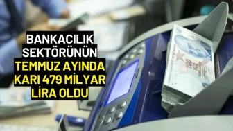 Bankacılık Sektörünün Temmuz Ayında Karı 479 Milyar Lira Oldu