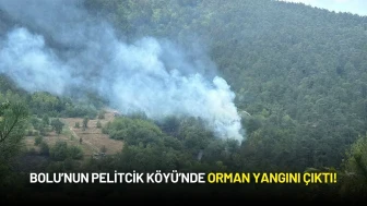 Bolu’nun Pelitcik Köyü’nde Orman Yangını Çıktı!