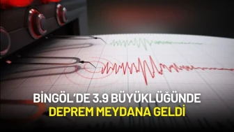 Bingöl’de 3.9 Büyüklüğünde Deprem Meydana Geldi