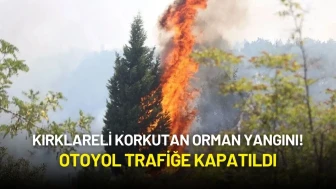 Kırklareli Korkutan Orman Yangını! Otoyol Trafiğe Kapatıldı