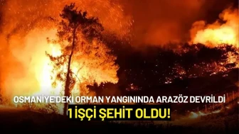 Osmaniye'deki Orman Yangınında Arazöz Devrildi: 1 İşçi Şehit Oldu!