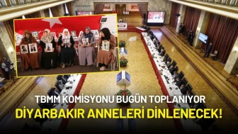 TBMM Komisyonu Bugün Toplanıyor: Diyarbakır Anneleri Dinlenecek!