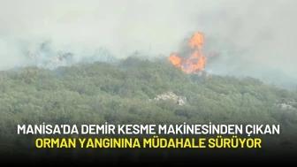 Manisa'da Demir Kesme Makinesinden Çıkan Orman Yangınına Müdahale Sürüyor
