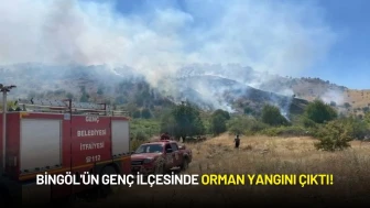 Bingöl'ün Genç İlçesinde Orman Yangını Çıktı!