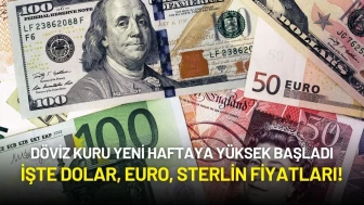 Döviz Kuru Yeni Haftaya Yüksek Başladı: İşte Dolar, Euro, Sterlin Fiyatları!