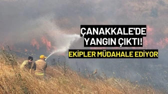 Çanakkale'de Yangın Çıktı! Ekipler Müdahale Ediyor