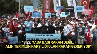 Kamu-Sen, Hükümetin Teklifini Protesto Ediyor: "Alın Terimizin Karşılığı Olan Rakam Gerekiyor"