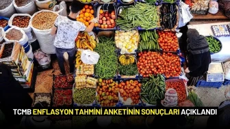 TCMB Enflasyon Tahmini Anketinin Sonuçları Açıklandı