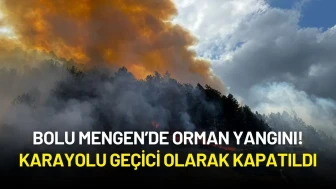 Bolu Mengen’de Orman Yangını: Karayolu Geçici Olarak Kapatıldı!