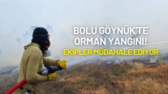 Bolu Göynük'te Orman Yangını Çıktı!