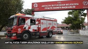 Antalya'da Tarım Arazisinde Başlayan Yangın Ormana Sıçradı!