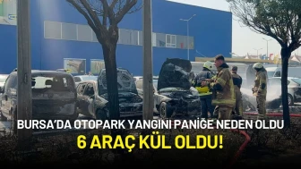 Bursa’da Otopark Yangını Paniğe Neden Oldu: 6 Araç Kül Oldu!