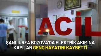 Şanlıurfa Bozova'da Elektrik Akımına Kapılan Genç Hayatını Kaybetti