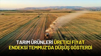 Tarım Ürünleri Üretici Fiyat Endeksi Temmuz’da Düşüş Gösterdi