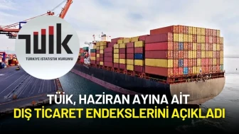 TÜİK, Haziran Ayına Ait Dış Ticaret Endekslerini Açıkladı