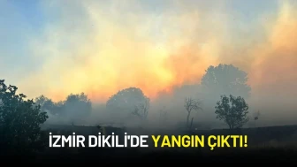 İzmir Dikili'de Yangın Çıktı!
