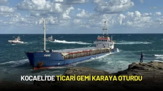 Kocaeli'nin Kandıra İlçesinde Ticari Gemi Karaya Oturdu