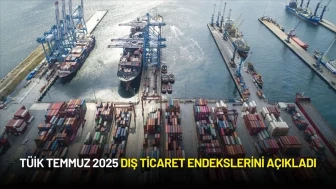 TÜİK Temmuz 2025 Dış Ticaret Endekslerini Açıkladı