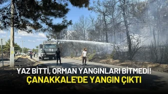 Yaz Bitti, Orman Yangınları Bitmedi! Çanakkale'de Yangın Çıktı