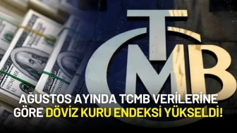 Ağustos Ayında TCMB Verilerine Göre Döviz Kuru Endeksi Yükseldi!