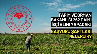 Tarım ve Orman Bakanlığı 262 Daimi İşçi Alımı Yapacak! Başvuru Şartları Nelerdir?
