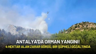 Antalya'da Orman Yangını: 4 Hektar Alan Zarar Gördü! Bir Şüpheli Gözaltında