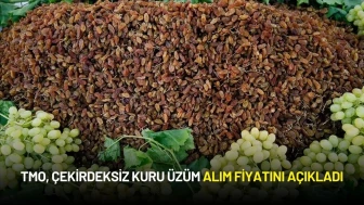 TMO, Çekirdeksiz Kuru Üzüm Alım Fiyatını Açıkladı