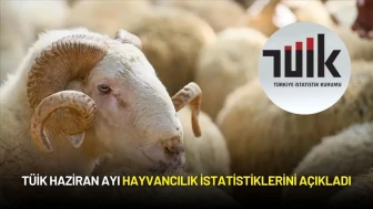 TÜİK Hayvancılık İstatistiklerini Açıkladı