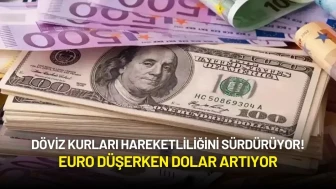 Döviz Kurları Hareketli! Euro Düşerken Dolar Artıyor
