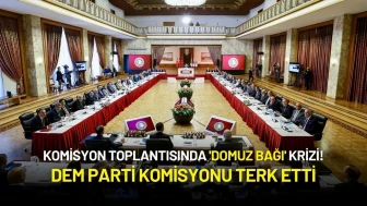 Komisyon Toplantısında 'Domuz Bağı' Krizi! DEM Parti Komisyonu Terk Etti