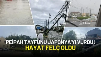 Peipah Tayfunu Japonya'yı Vurdu! Hayat Felç Oldu