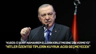 Cumhurbaşkanı Erdoğan: "Hitler Özentisi Tiplerin Kuyruk Acısı Geçmeyecek"