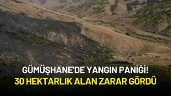 Gümüşhane'de Yangın Paniği: 30 Hektarlık Alan Zarar Gördü!