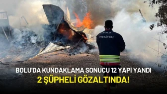 Bolu Aladağlar'da Kundaklama Sonucu 12 Yapı Yandı: 2 Şüpheli Gözaltında!