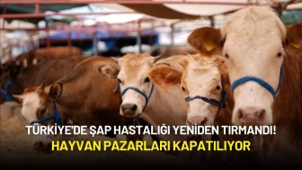Türkiye'de Şap Hastalığı Yeniden Tırmandı! Hayvan Pazarları Kapatılıyor