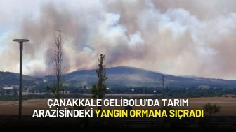 Çanakkale Gelibolu'da Tarım Arazisindeki Yangın Ormana Sıçradı