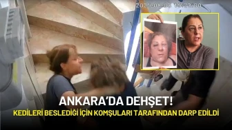 Ankara’da Dehşet: Kedileri Beslediği İçin Komşuları Tarafından Darp Edildi!