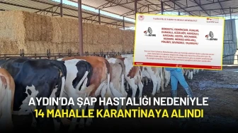 Aydın’da Şap Hastalığı Nedeniyle 14 Mahalle Karantinaya Alındı